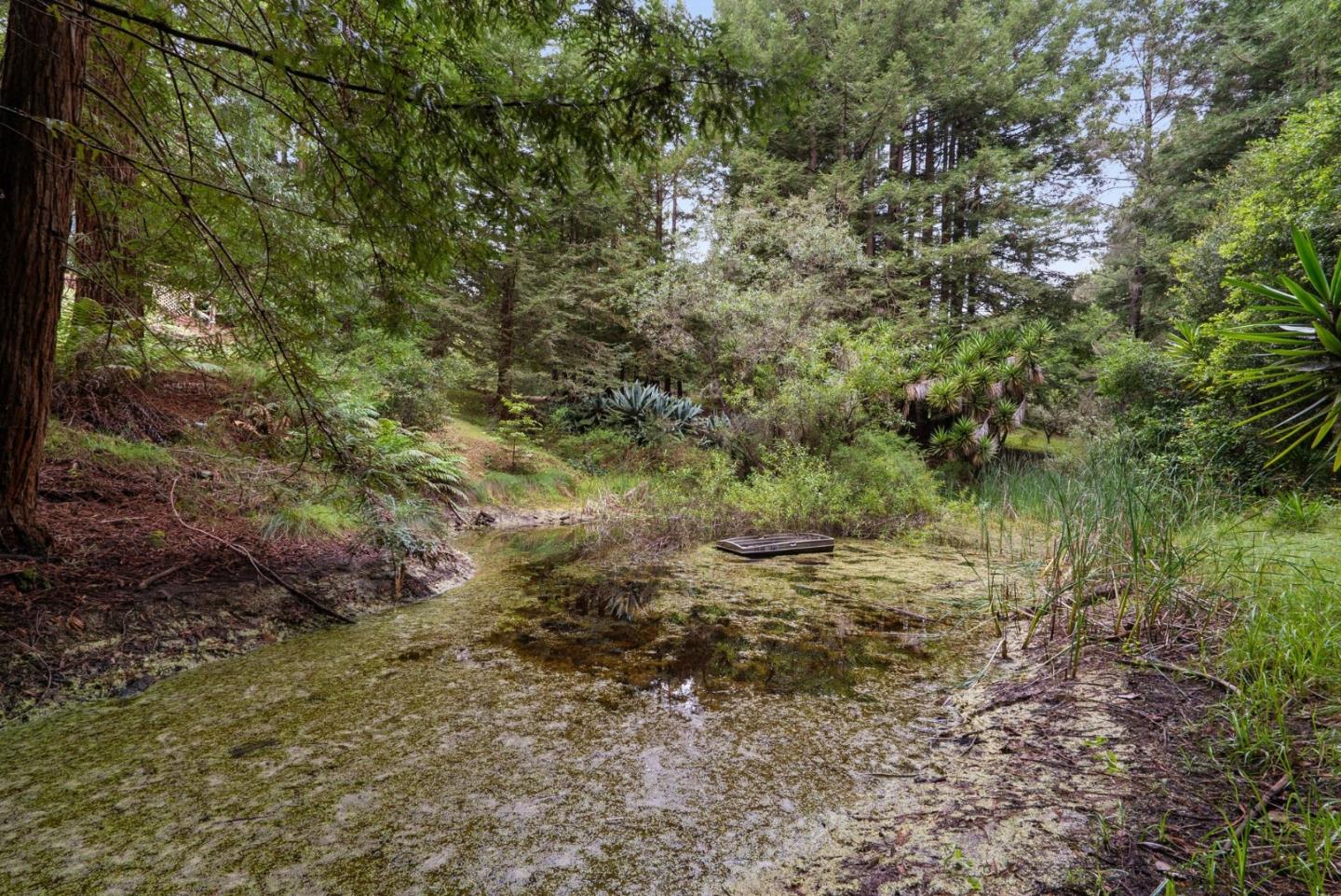163 Buzzard Lagoon Road