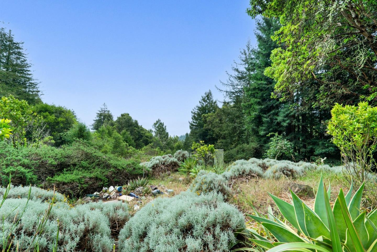163 Buzzard Lagoon Road