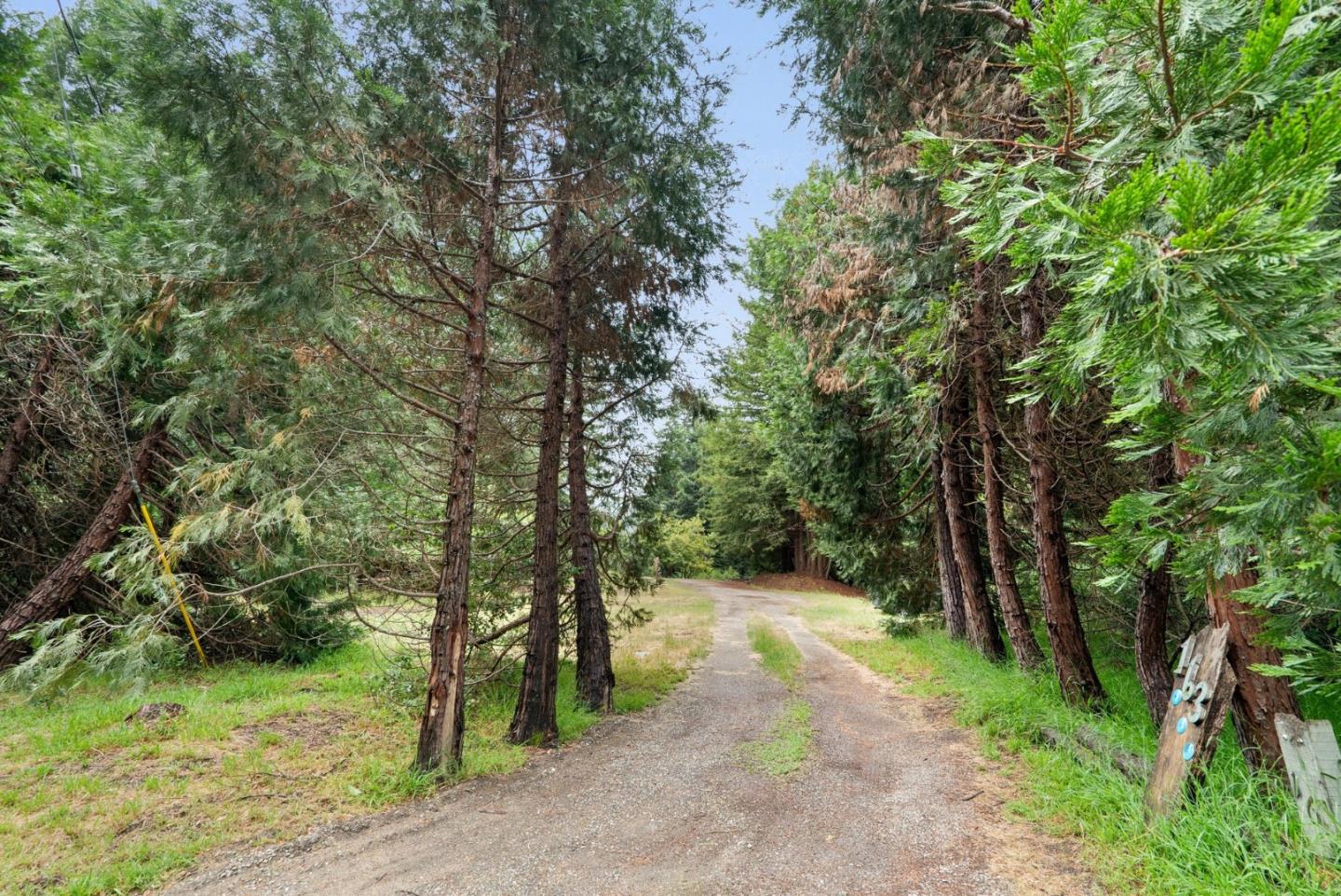 163 Buzzard Lagoon Road