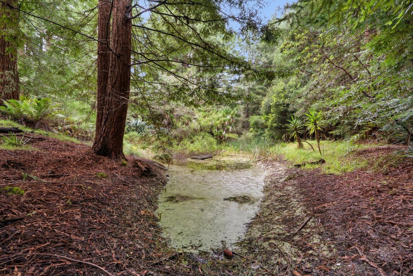 163 Buzzard Lagoon Road