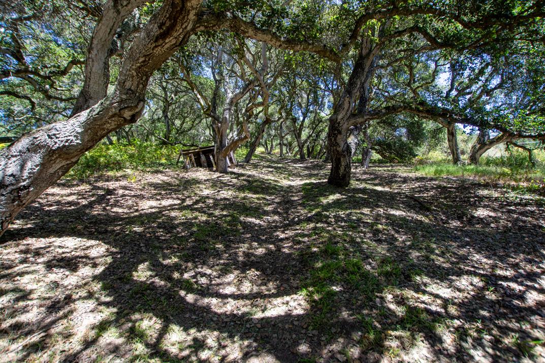 425 Echo Valley Road