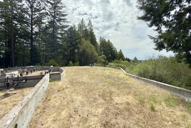 1374 Weston Ridge RD