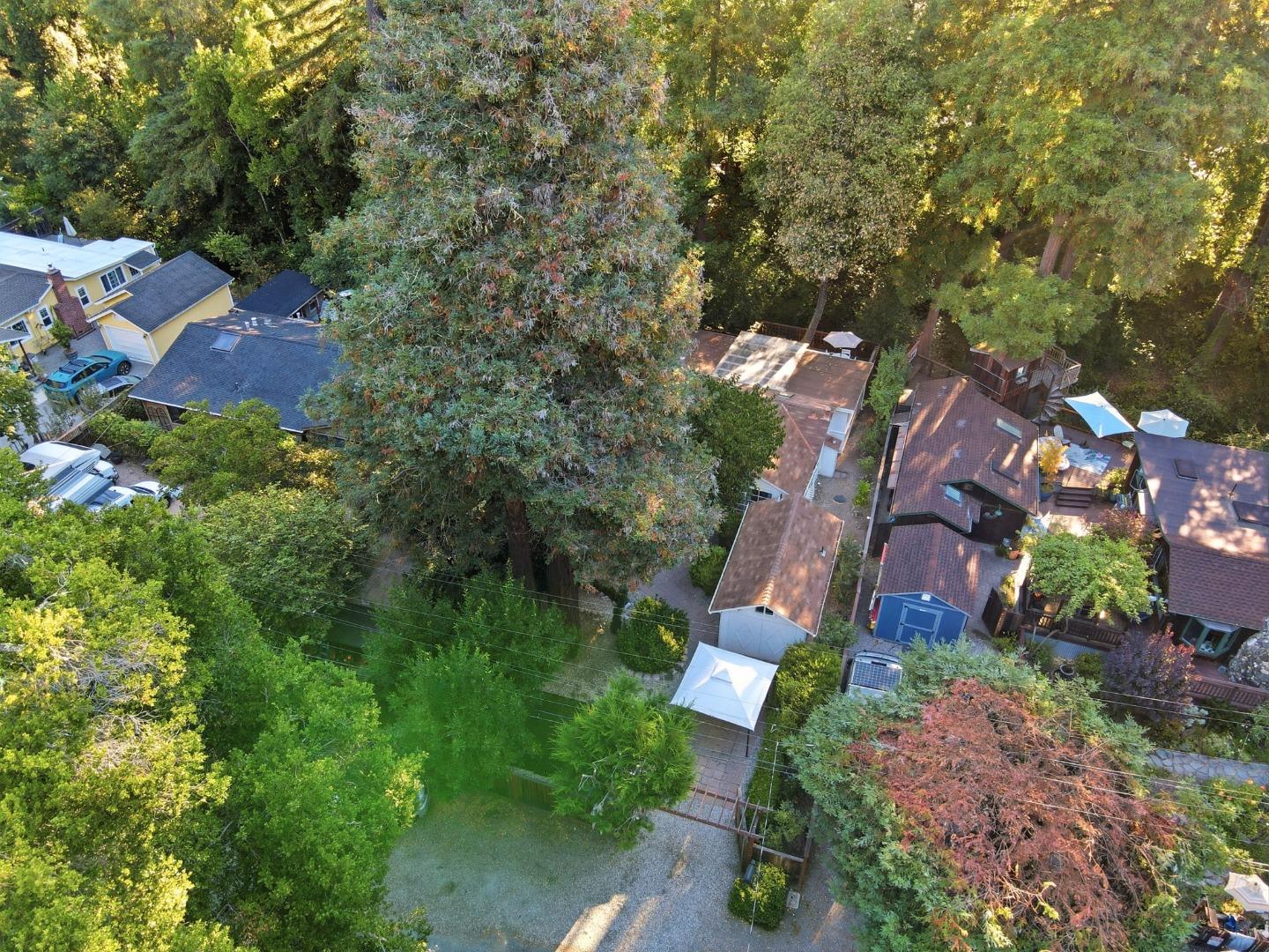 339 Fall Creek DR
