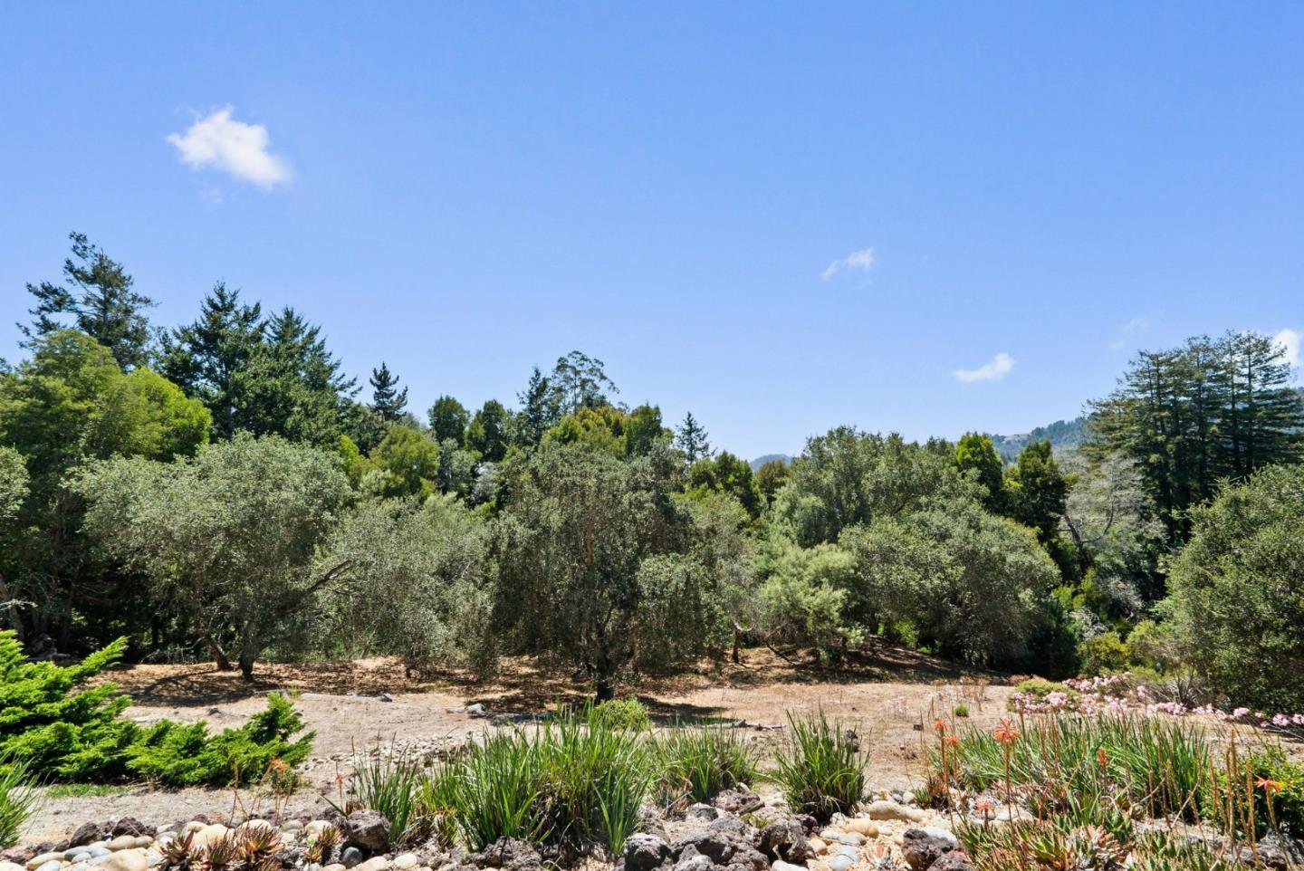 81 Pasatiempo DR