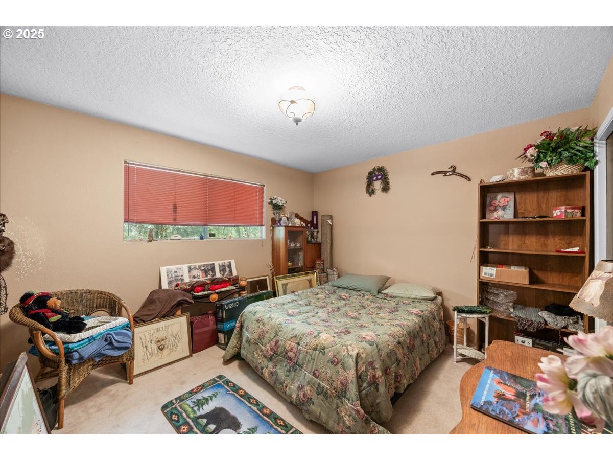 3387 WILD RIVER DR
