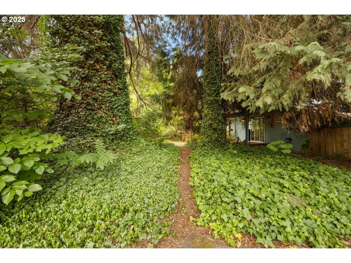 3387 WILD RIVER DR