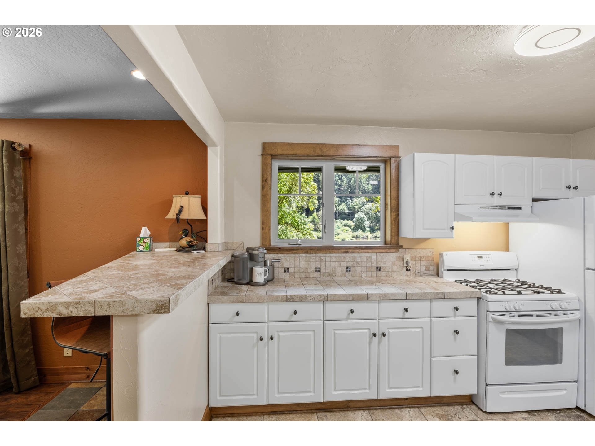 132 COUGAR CREEK RD