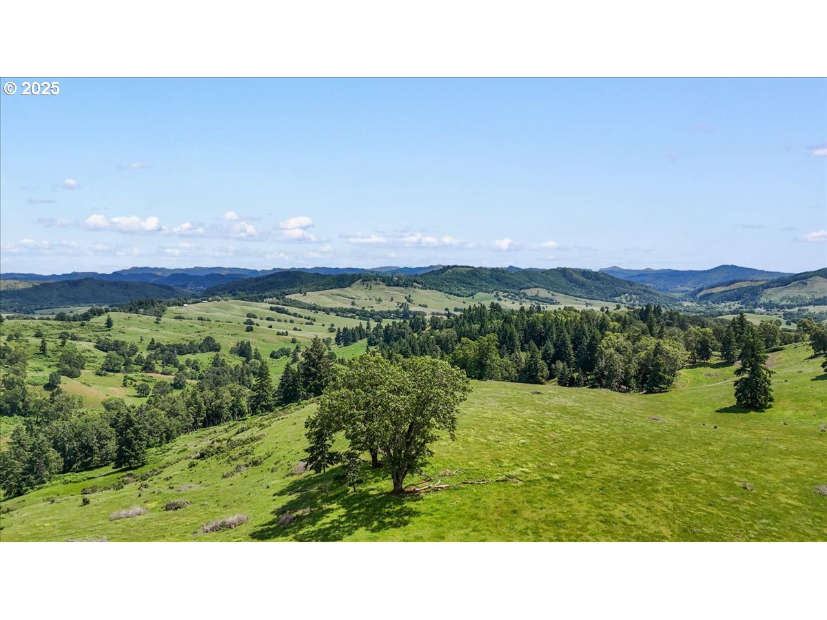 331 METZ HILL RD