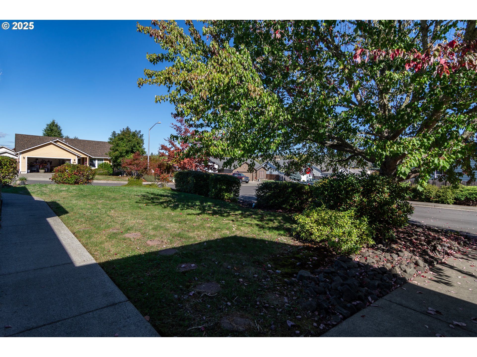 227 CAMBRIDGE DR