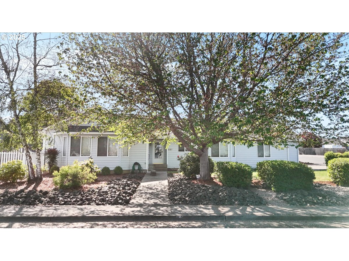 227 CAMBRIDGE DR