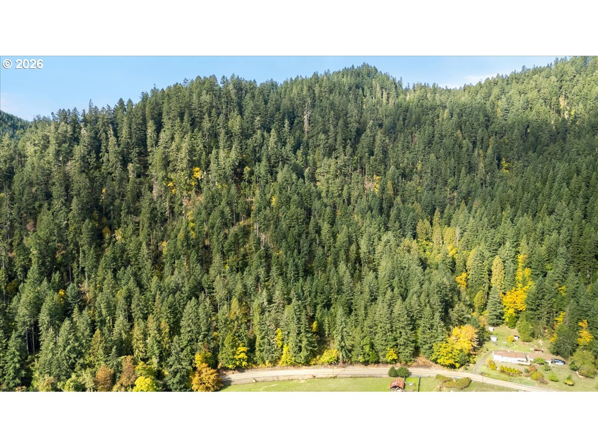 2277 COUGAR CREEK RD