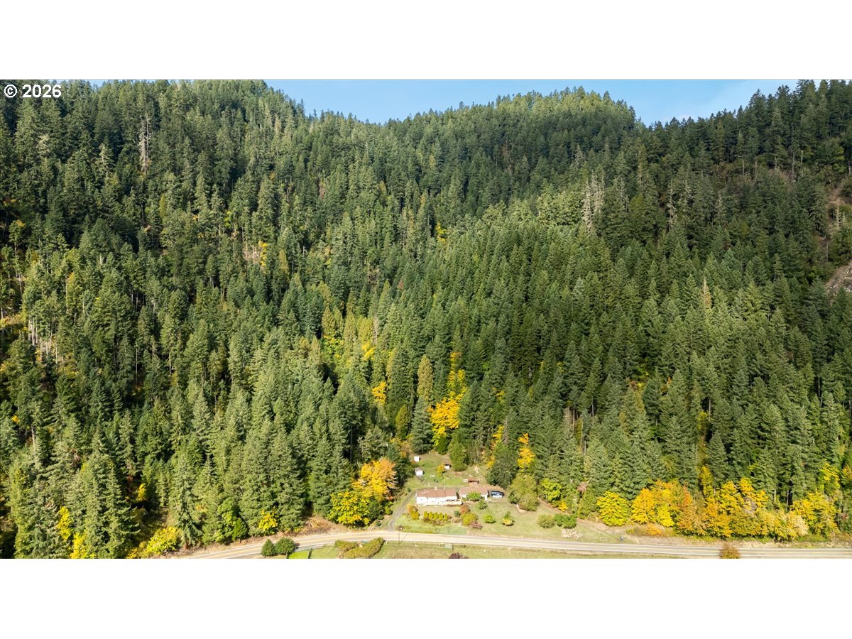2277 COUGAR CREEK RD