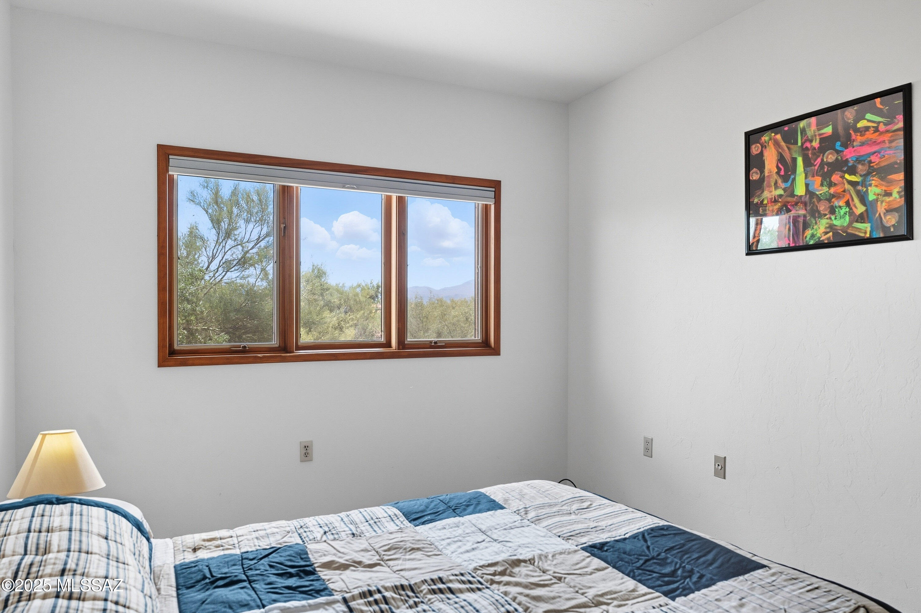 10301 N Camino De Oeste