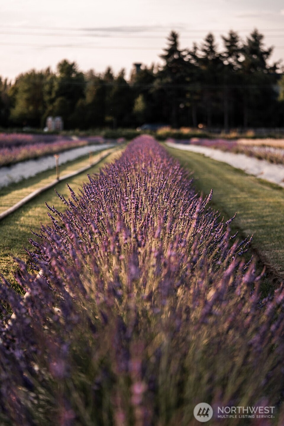 14303 149th Place NE Unit: 36