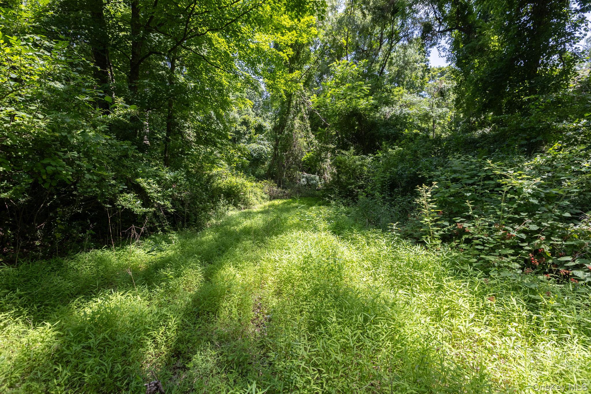 Woodin Lane