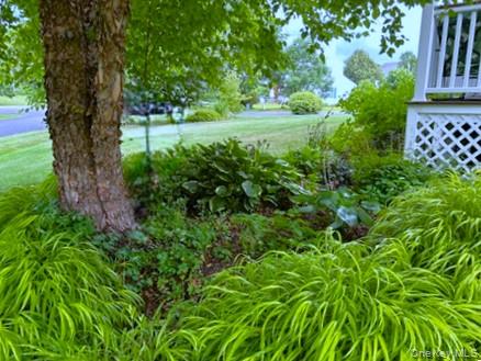 41 W Deer Trail