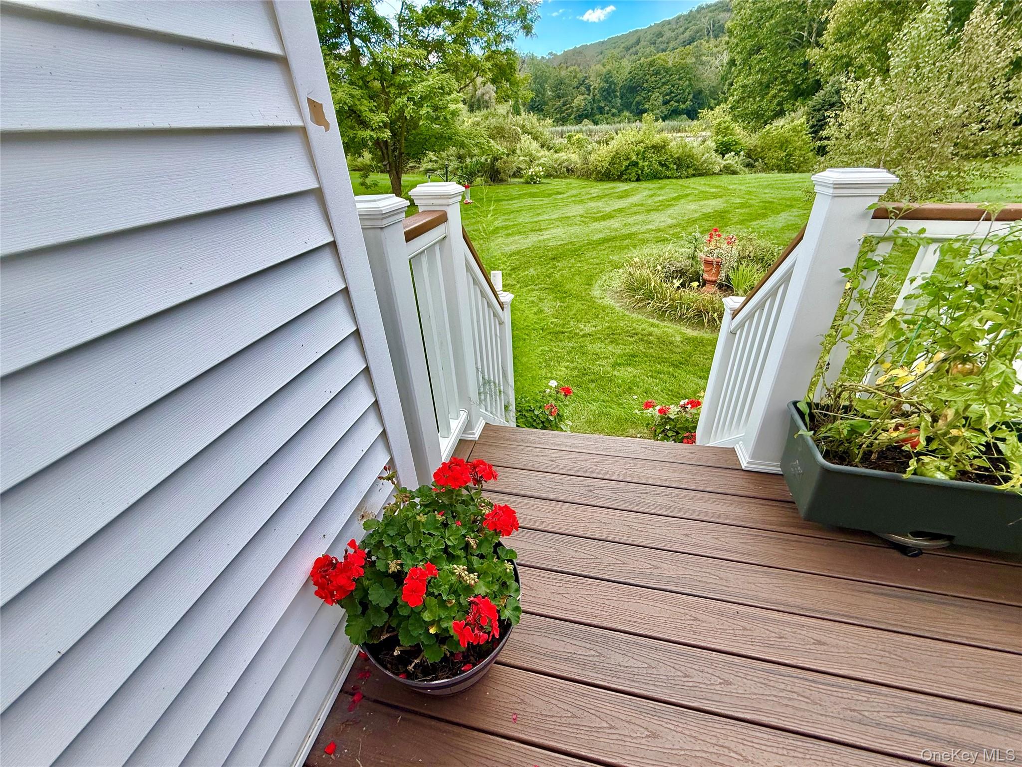 41 W Deer Trail