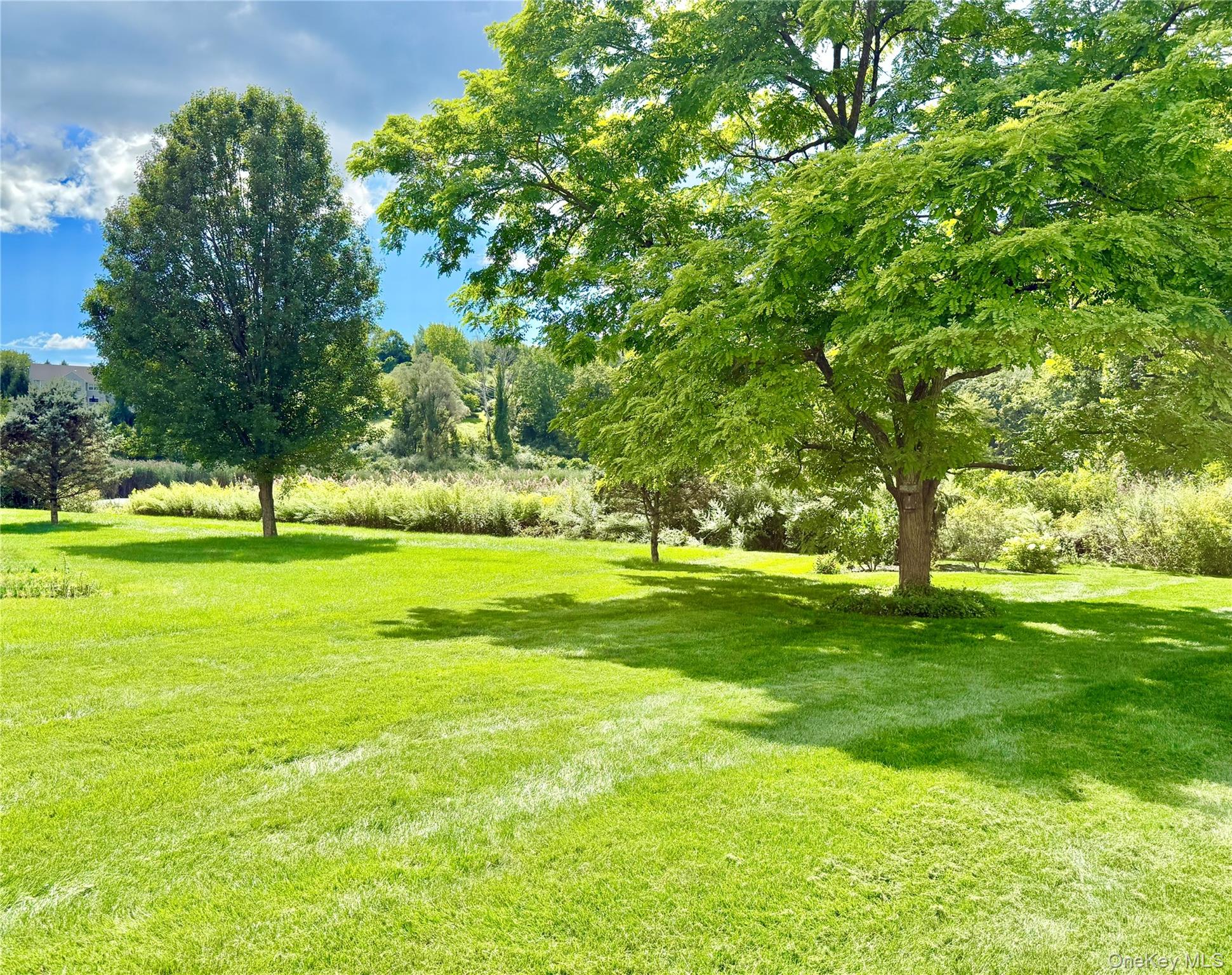 41 W Deer Trail