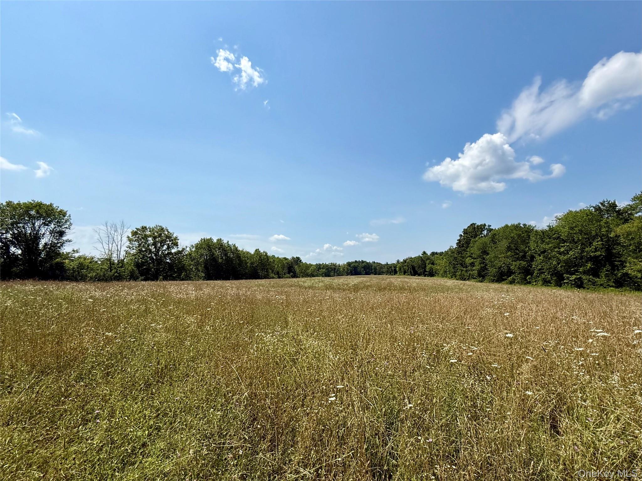Shawangunk Road