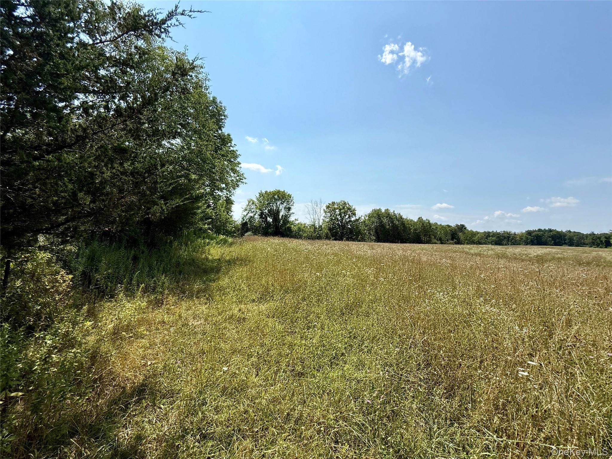Shawangunk Road