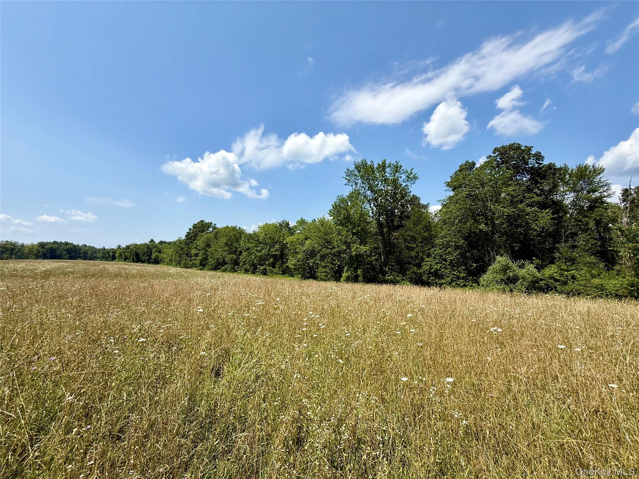 Shawangunk Road