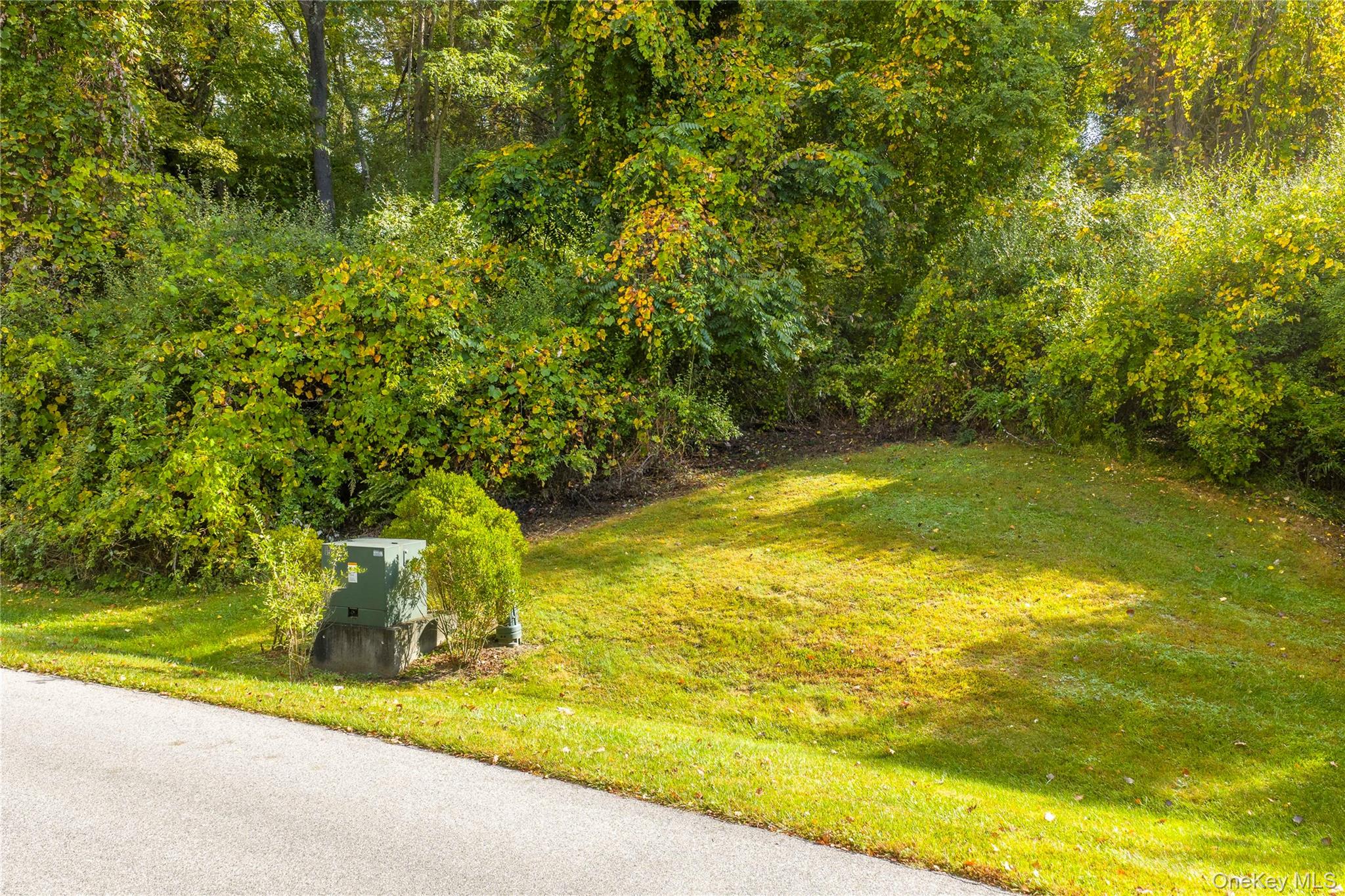 Lot 25 Brady Brook Farm Road
