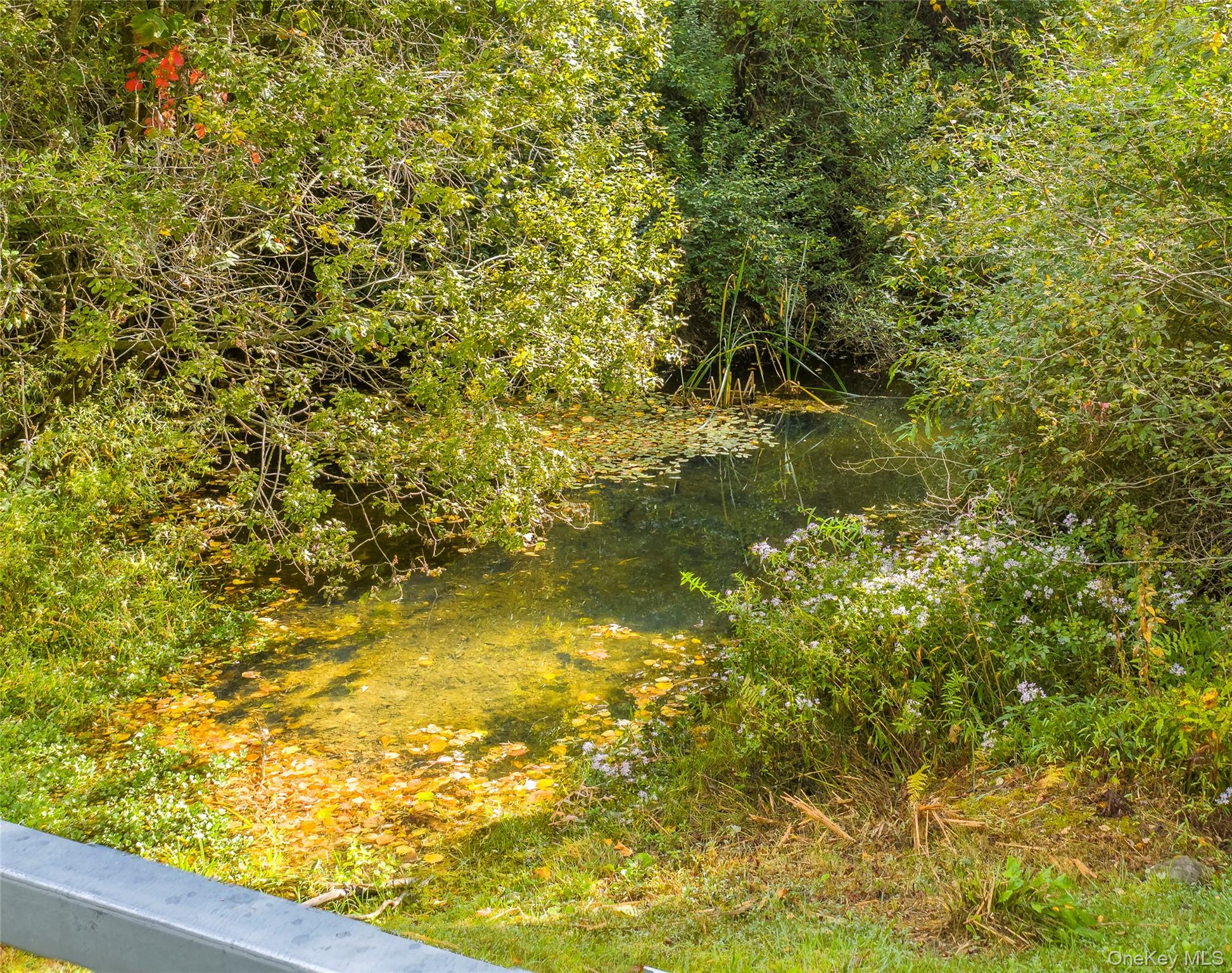 Lot 25 Brady Brook Farm Road