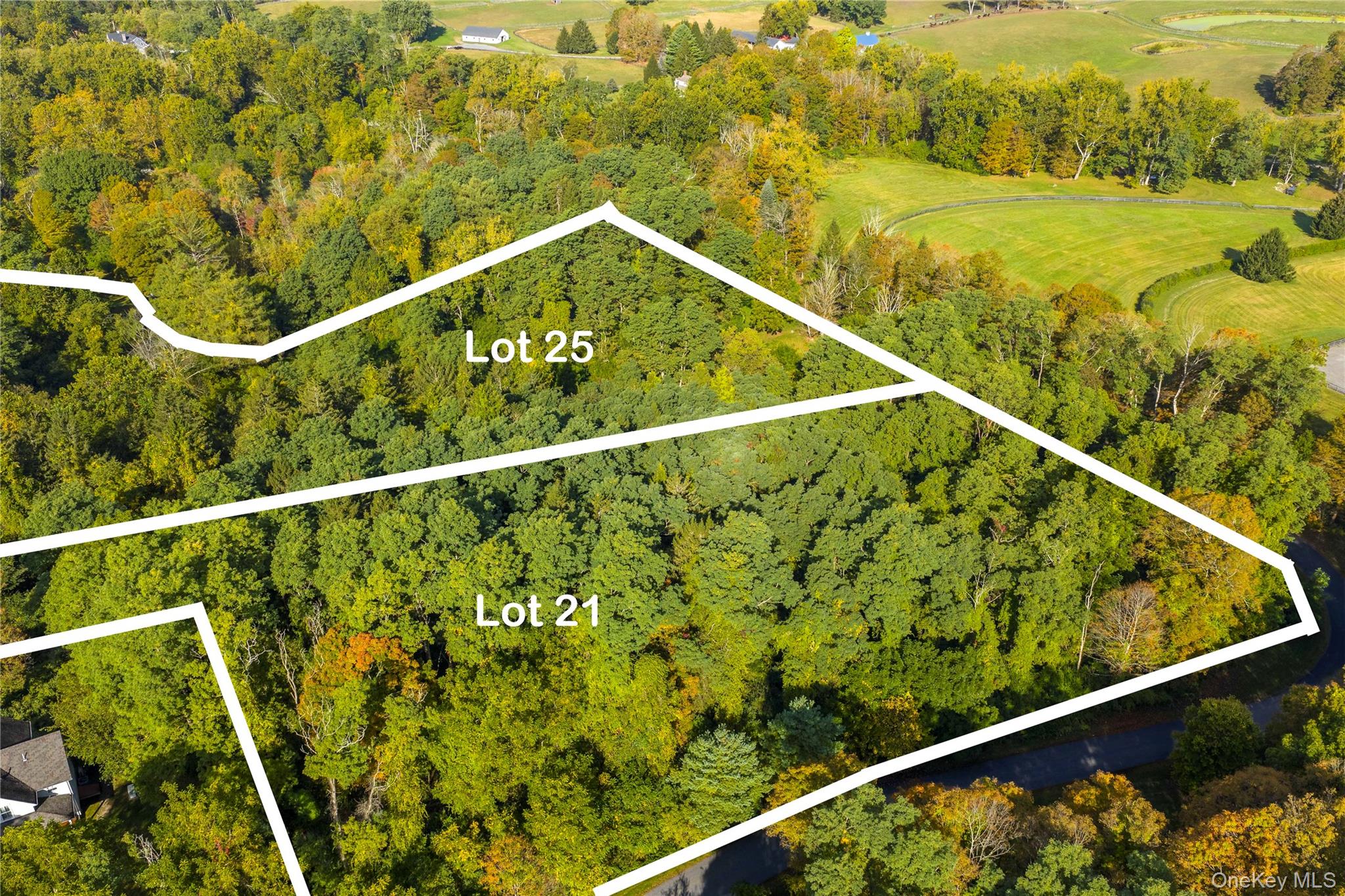 Lot 25 Brady Brook Farm Road