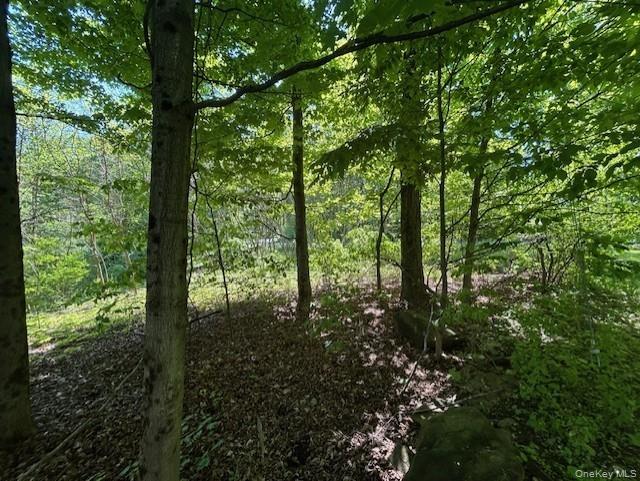 20 Hickory Lane