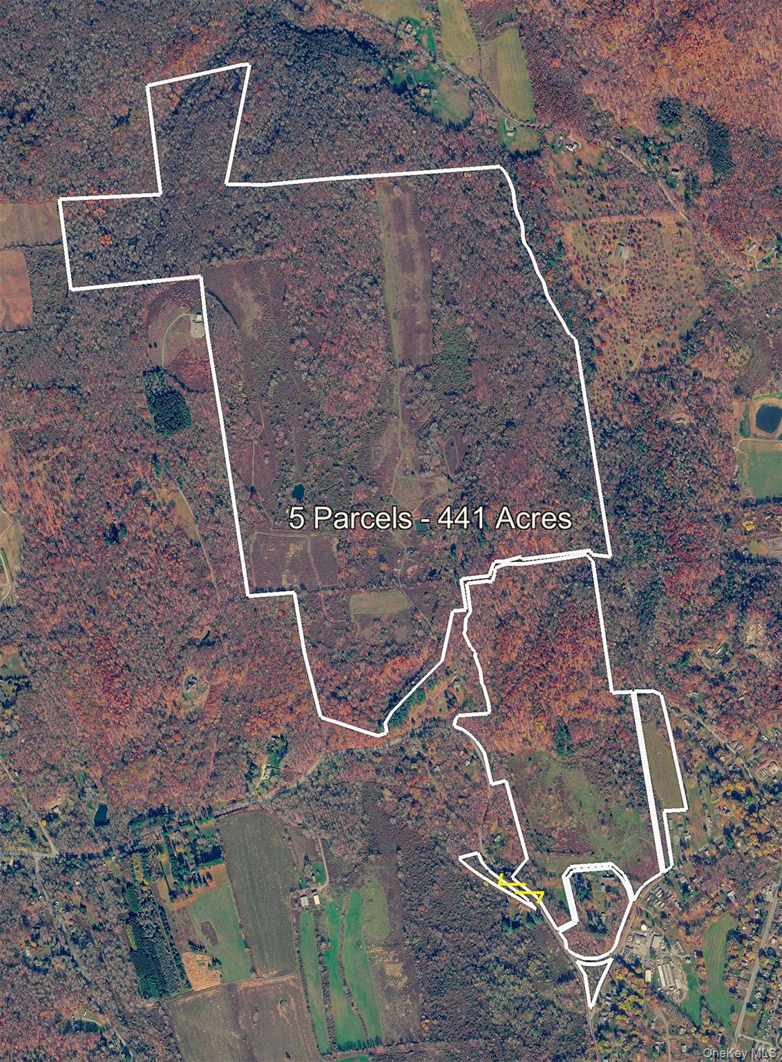 1297 Route 343