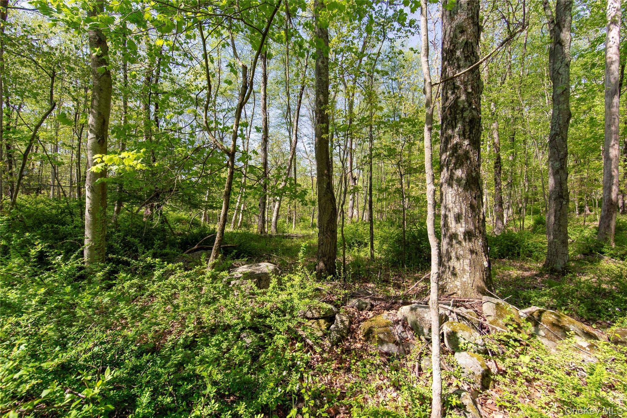 298 Nash Road