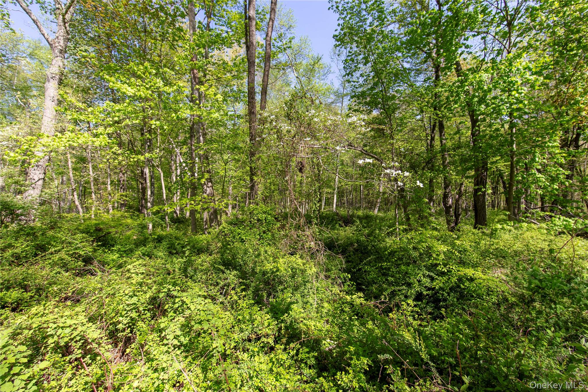 298 Nash Road