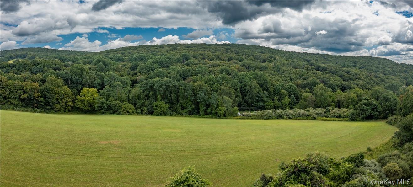 245 Birch Hill Road