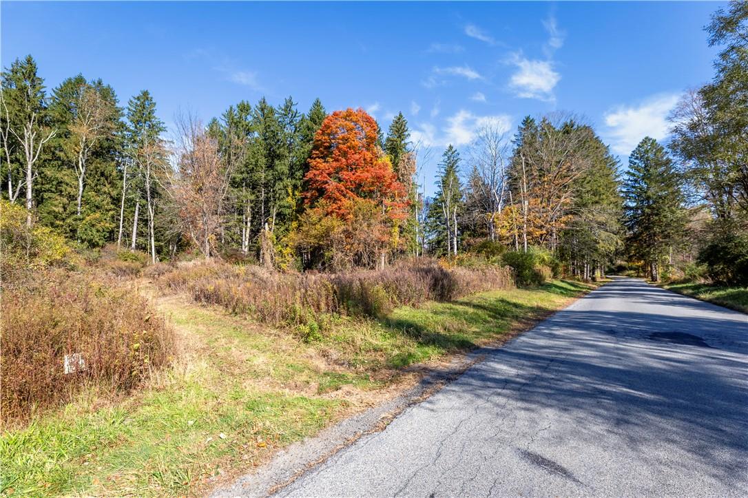 Lot #2 Dodge Road