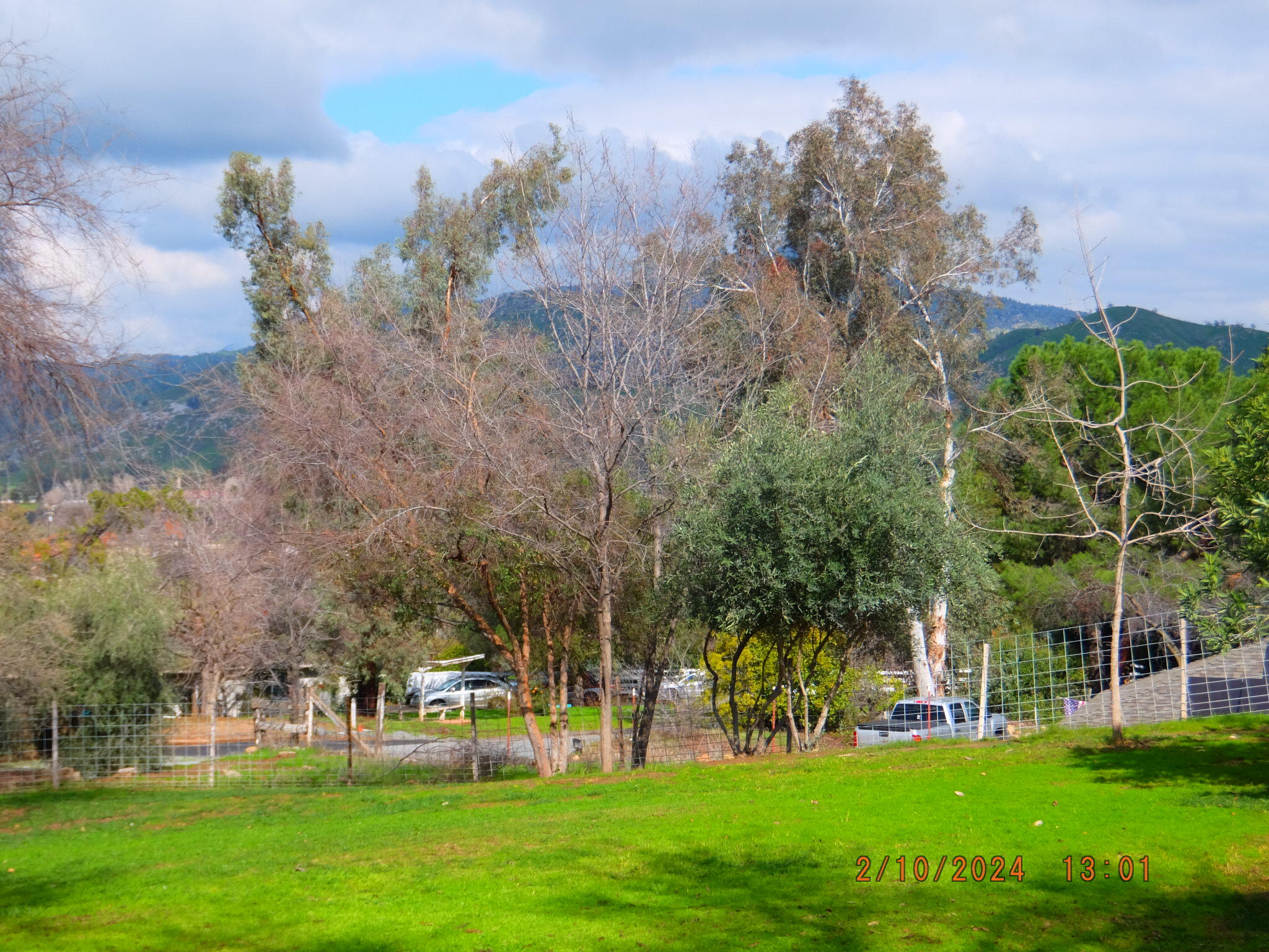 32689 Maverick Drive