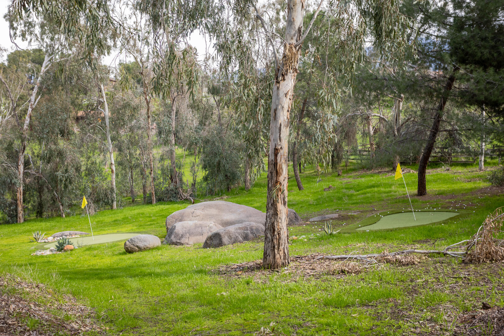 32689 Maverick Drive