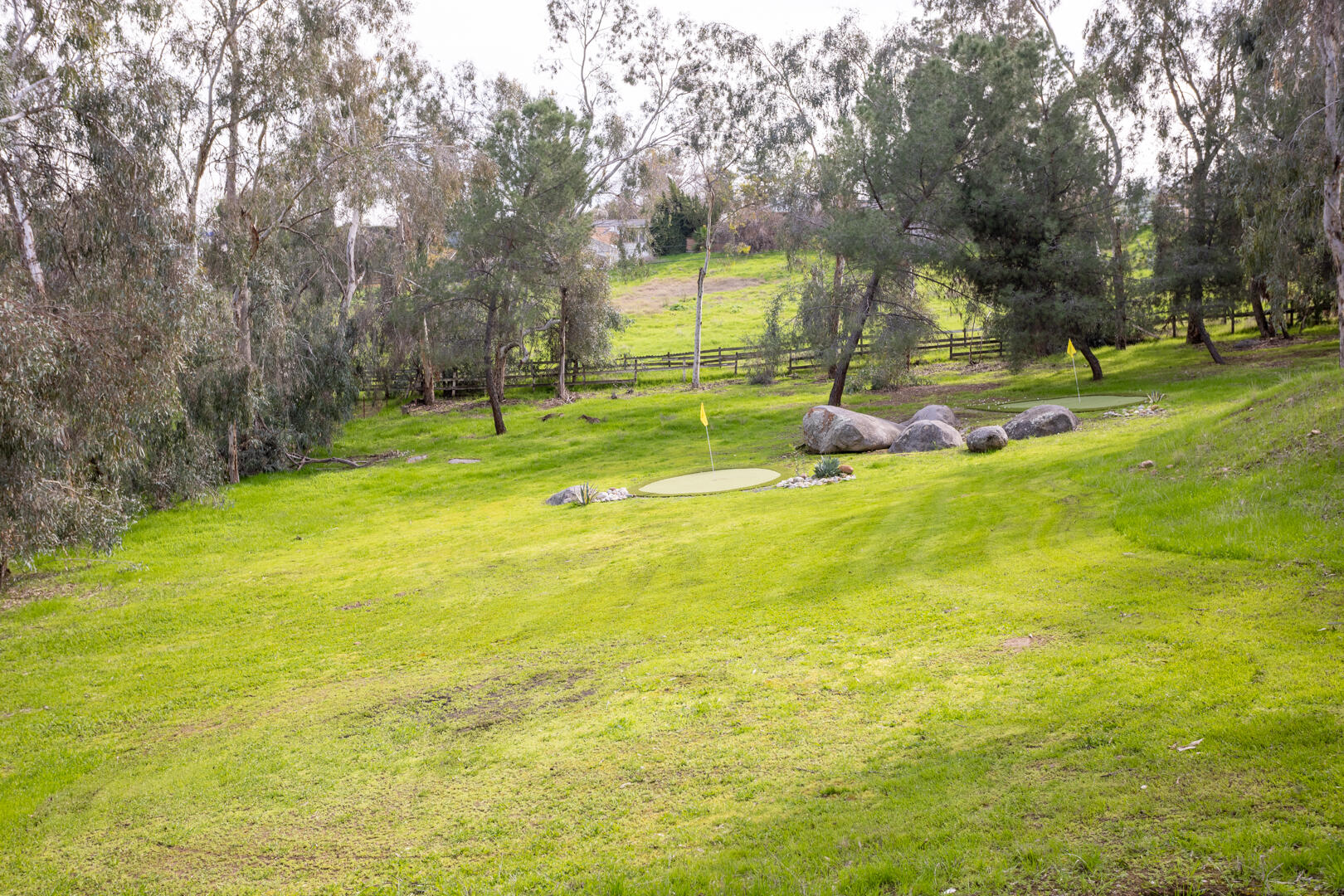 32689 Maverick Drive