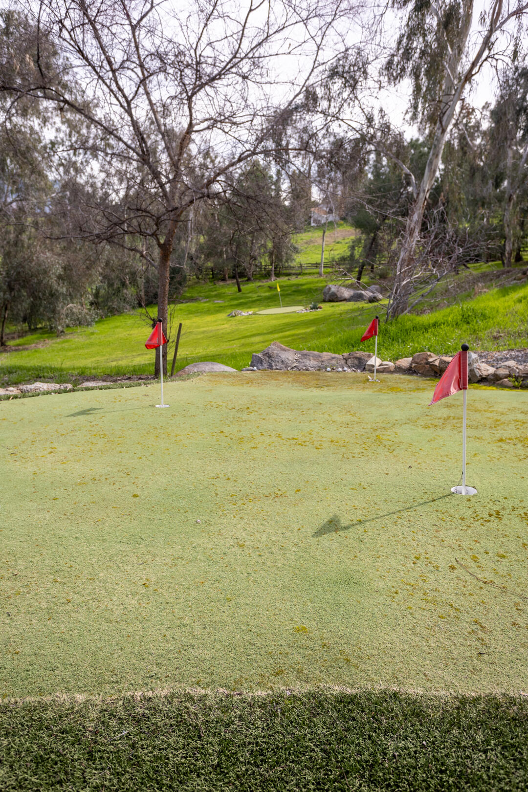 32689 Maverick Drive