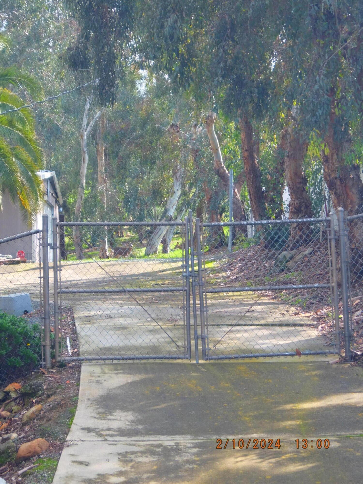 32689 Maverick Drive