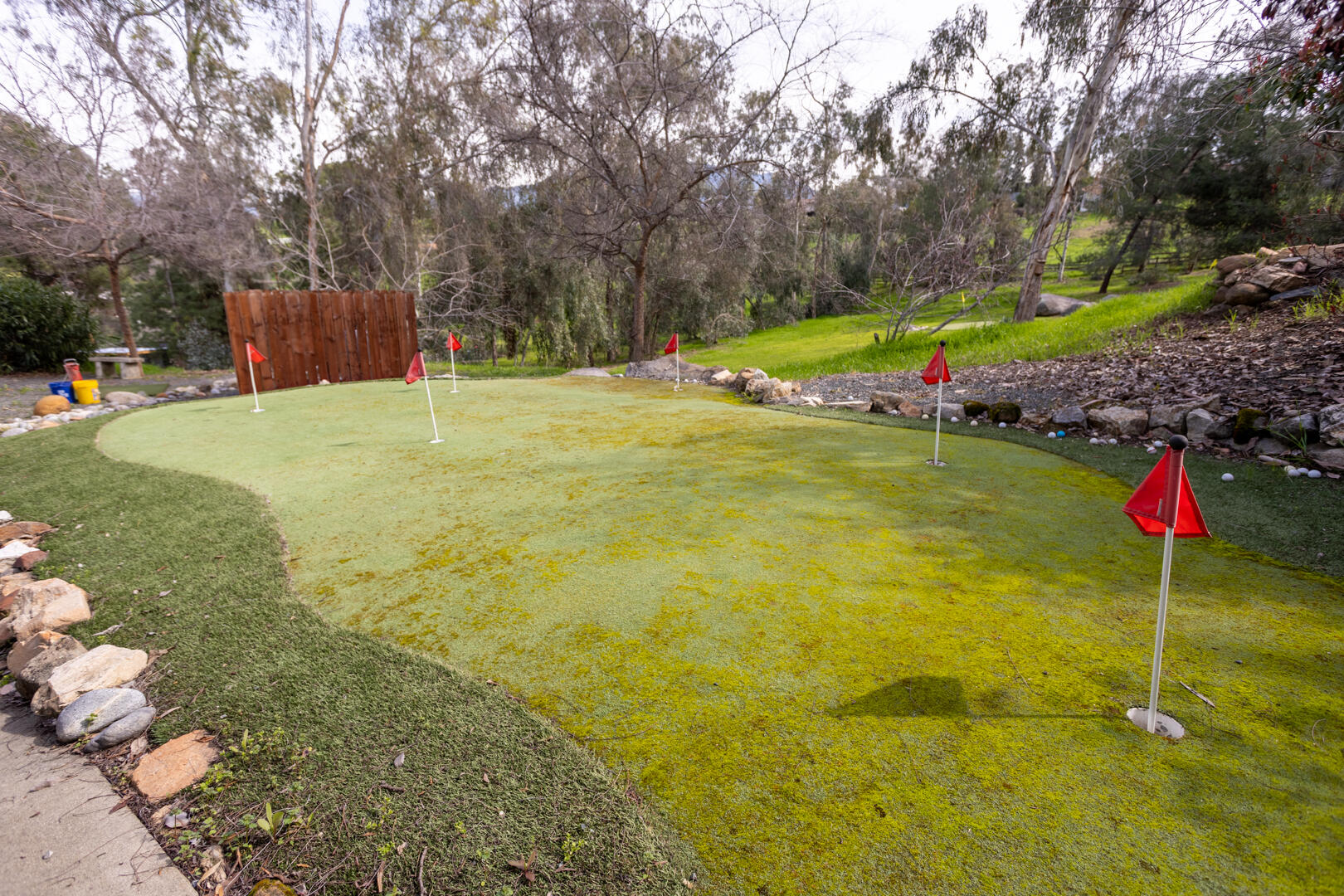 32689 Maverick Drive