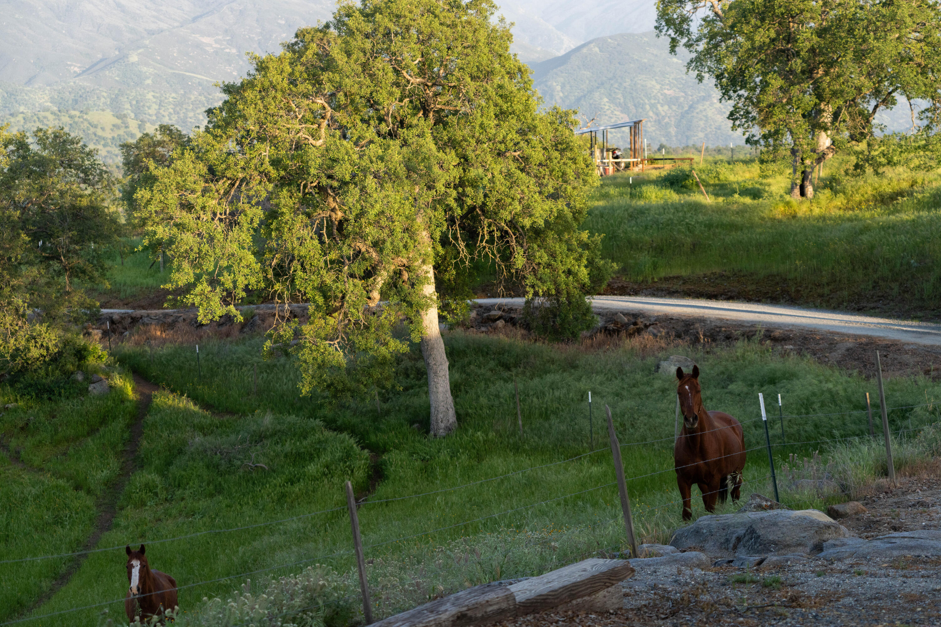 41652 Yokohl Valley Drive