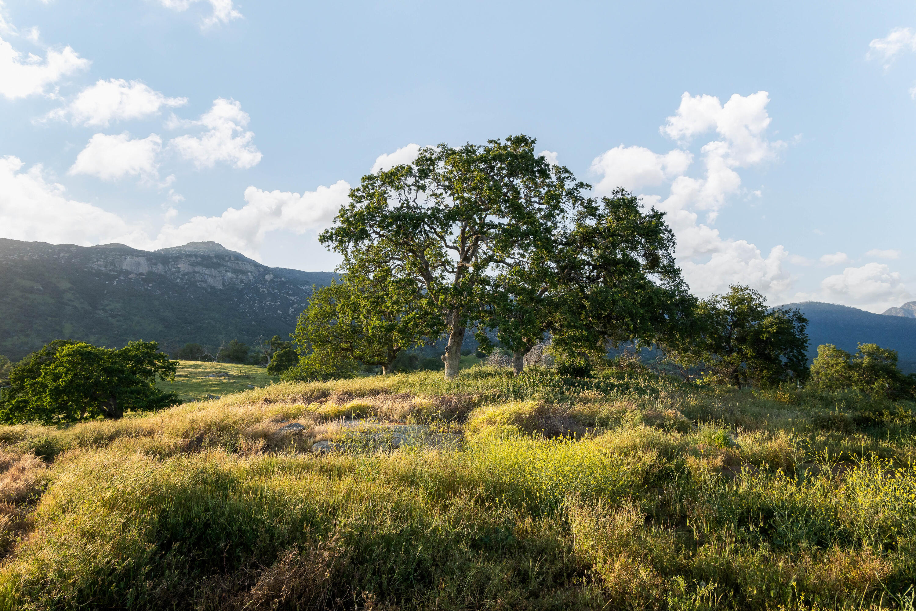 41652 Yokohl Valley Drive