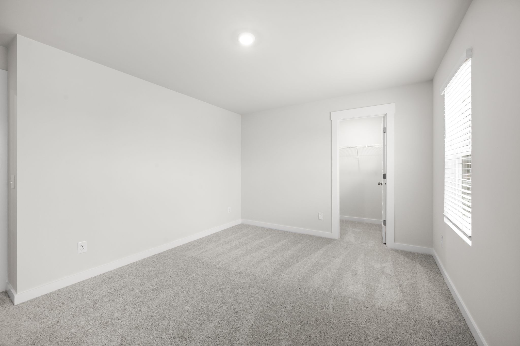 1011 Curtis Springs Ln