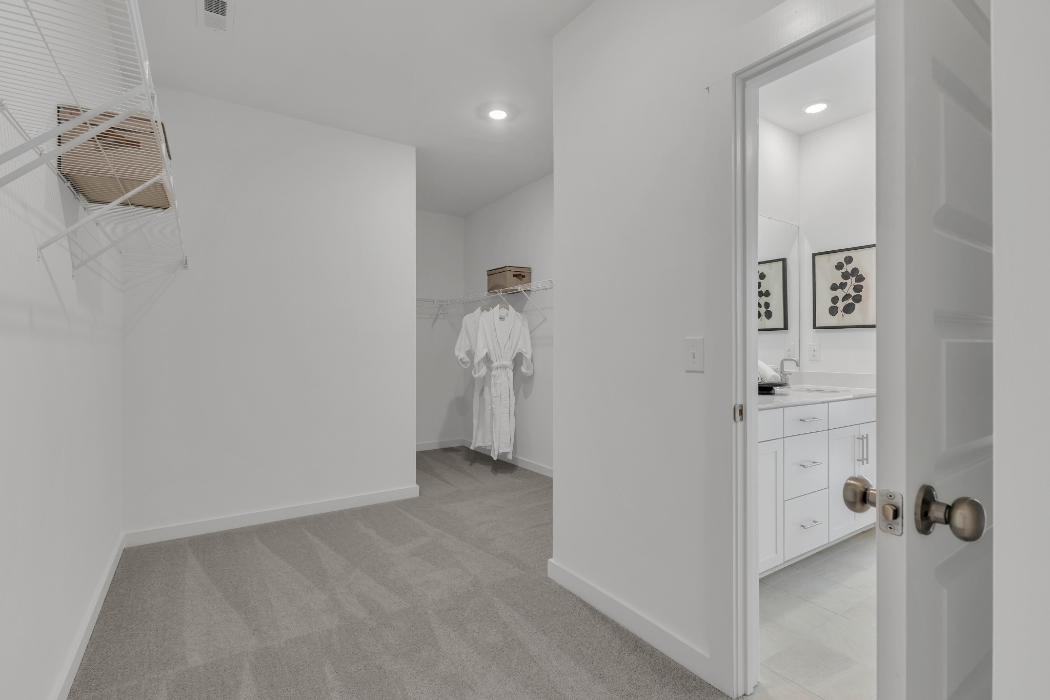 537 Sugarberry Court