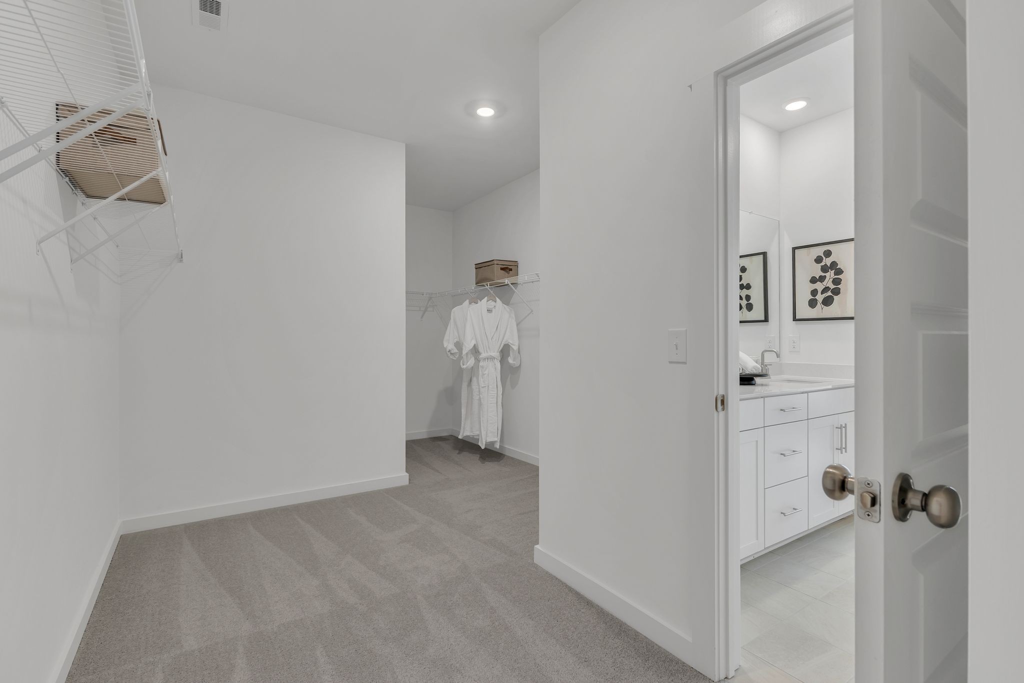 1236 Carson Drive