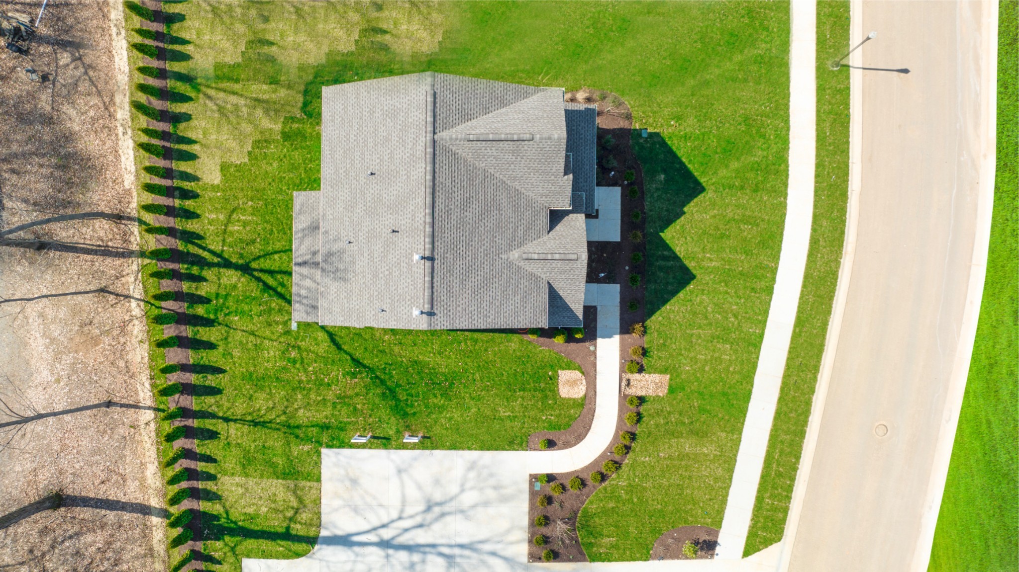 459 Lacewing Lane