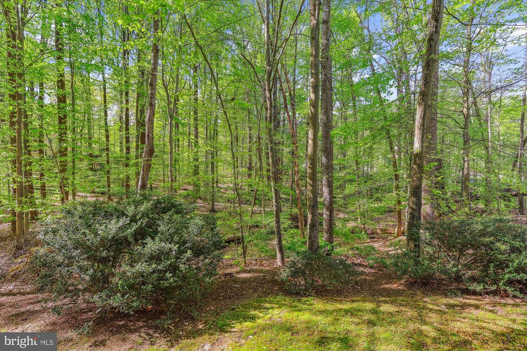 5937 FAIRVIEW WOODS DRIVE