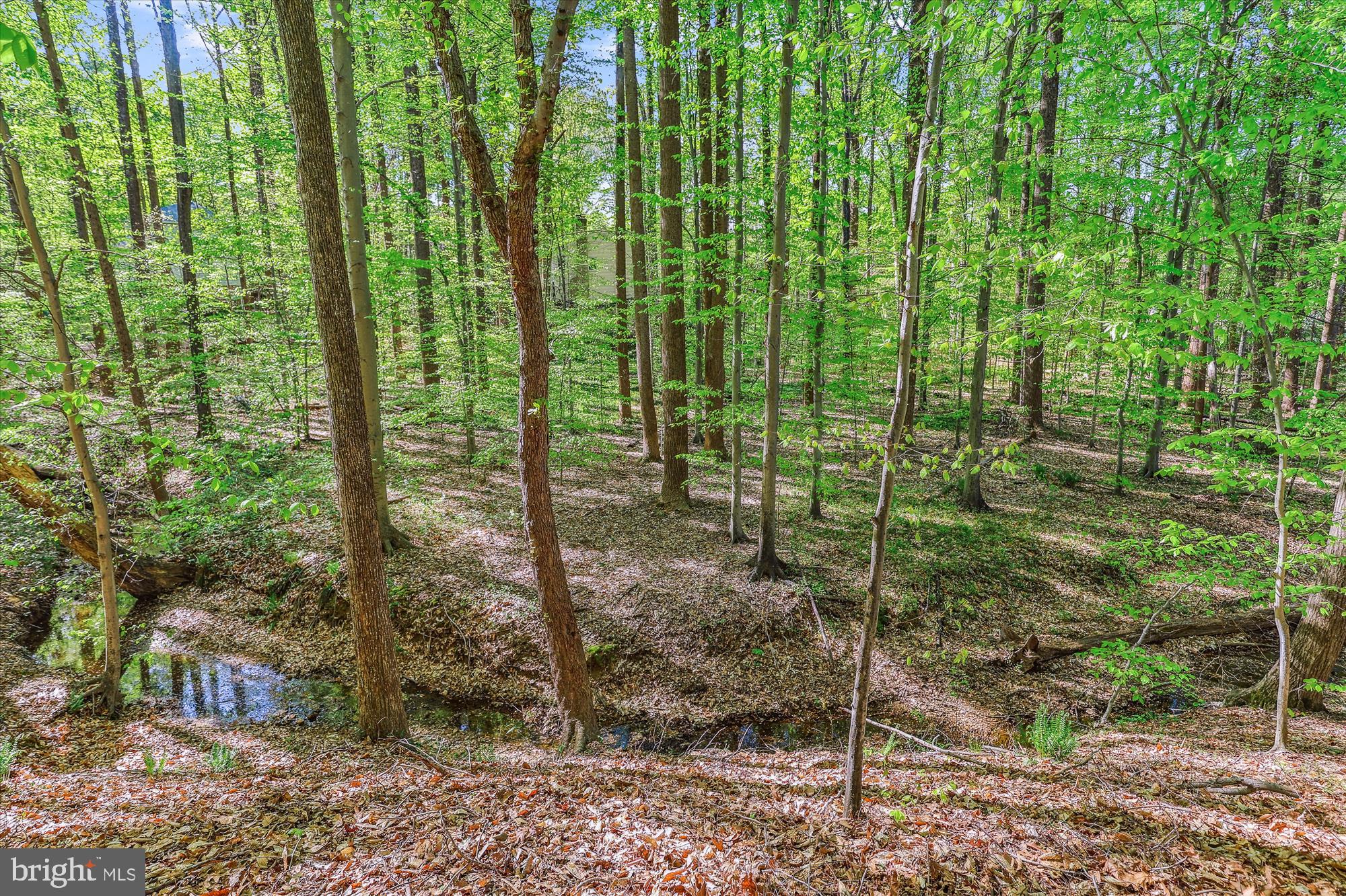 5937 FAIRVIEW WOODS DRIVE