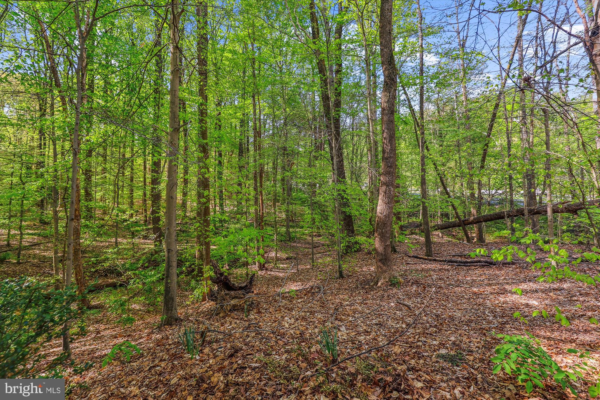 5937 FAIRVIEW WOODS DRIVE