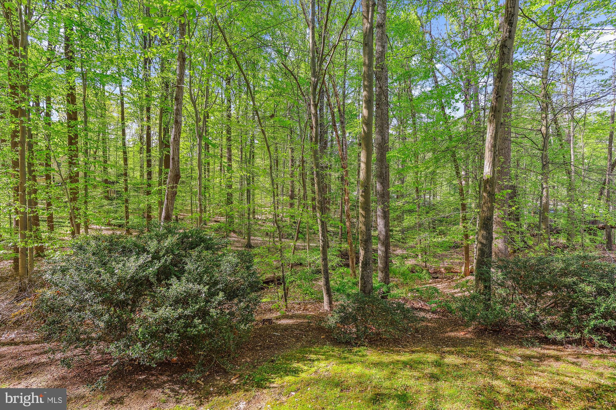 5937 FAIRVIEW WOODS DRIVE